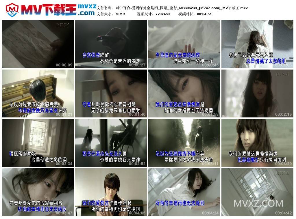 雨中百合-爱到深处全是泪_国语_流行_MB306239